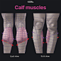 anatomy-for-sculptors-calf-msucles-by-anatomy-for-sculptors-1
