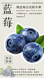 水果蓝莓海报