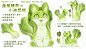 【蔬菜精灵の小油菜猫】