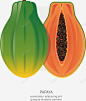 美味木瓜矢量图 免抠png 设计图片 免费下载 页面网页 平面电商 创意素材