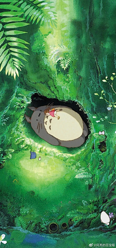 随心的（秘密花园）采集到宫崎骏的梦幻王国