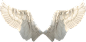 黑白色天使翅膀羽翼PNG影楼儿童摄影写真后期装饰合成设计PS素材
