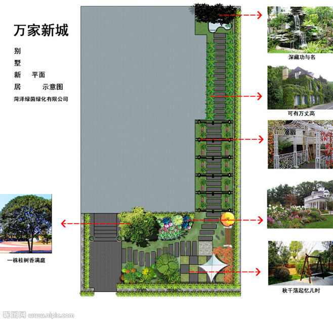 庭院别墅平面图