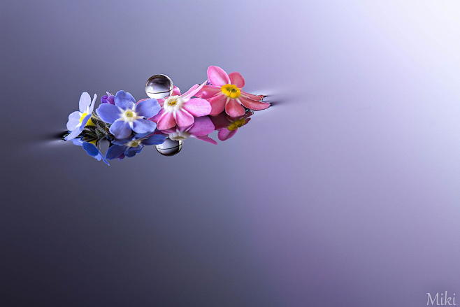 Miki Asai在 500px 上的照...