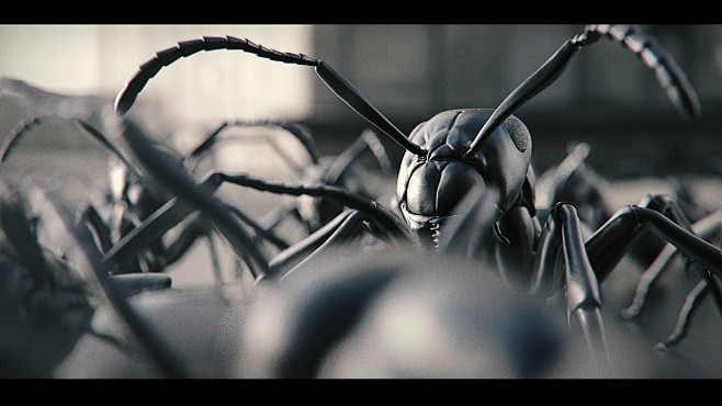 Ant