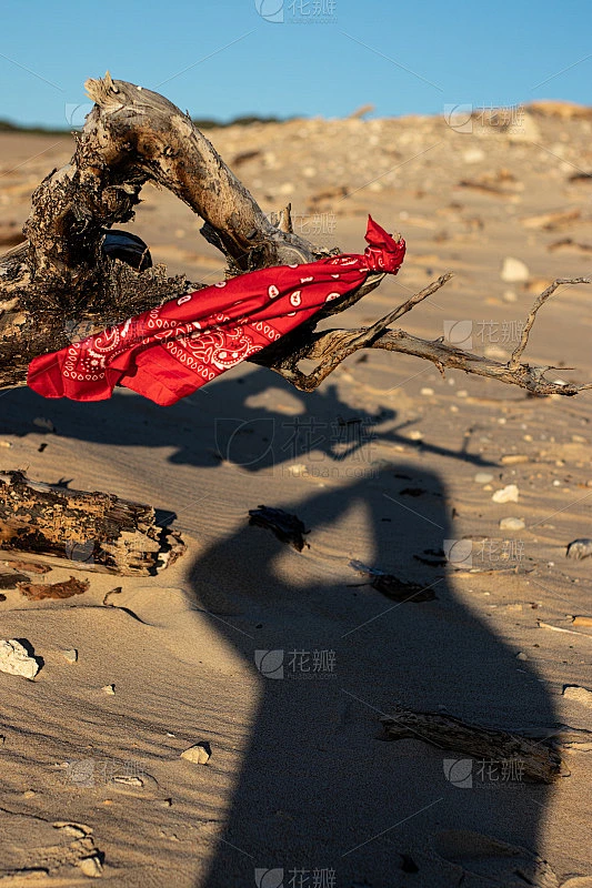 在沙漠中被风吹动的树上的红色大手帕素材-花瓣网