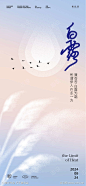 白露芦苇湖景插画海报-源文件库-ywjfx.cn
