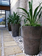 planting on narrow strip with high containers for unobstructive walkway: 