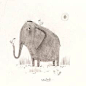 alextsmith: “ SKETCHBOOK: Happy World Elephant Day One of my most favourite…