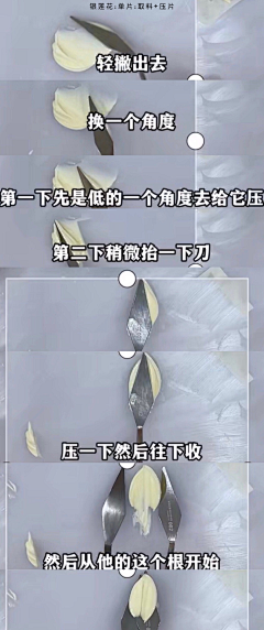 喵(=^･ｪ･^=)~采集到笔记 韩式裱花