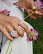 Model wear the Graff jewellery collection diamond ring