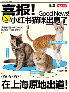 纯欲老母猪采集到海报