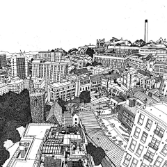 小米椒01采集到玫瑰