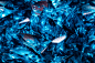 Blue Broken Ice Seamless Texture Backgrounds 10款蓝色碎冰水晶万花筒无缝纹理背景图片设计素材 - UIGUI