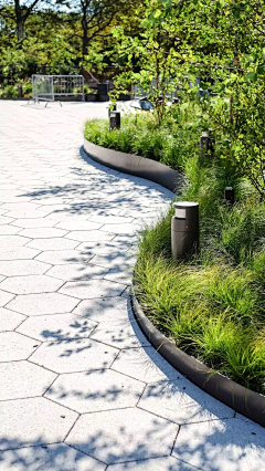 JCjcJcjC1采集到种植尺