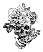 一组手绘骷髅头插画，犹如带刺的玫瑰！