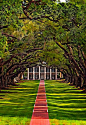 Oak Alley Plantation - West of New Orleans on the Mississippi River this place was in one of those for tv movies from a book. what was it? it is so beautiful!!!