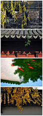 【美丽的中国】平江旧梦 摄影：清简 