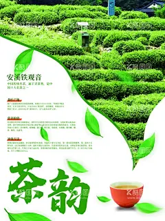 茶韵  - 源文件下载【酷图网】茶文化,茶海报,茶展板,春茶,茶园,茶文化墙,茶文化海报,茶文化展板,茶文化素材,山茶,茶山,茶楼文化墙,茶馆,茶楼文化,茶叶文化,茶具文化,茶具,茶海,中国风茶,茶文化广告,茶叶海报,茶叶展板,茶叶挂图,茶叶展架,茶楼海报,茶楼展板,嫩芽,茶具海报,茶具展板,春茶上市,春茶海报,绿茶,茶之韵