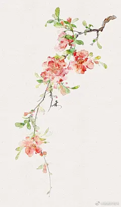 @画画的青禾 的个人主页 - 微博