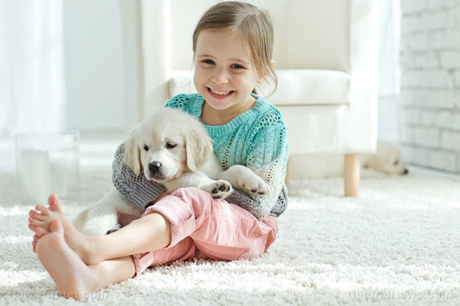 Home-Carpet-Puppy-Pe...
