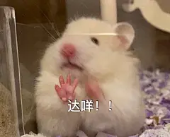 采集图片