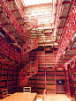 荷兰海牙老图书馆，美得让人心醉。<br/><…