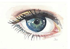 ARf9x84t采集到插画眼睛1