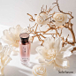 Sulwhasoo Thailand Official的Instagram主页(@sulwhasoo_thailand.official) -  veryins.com