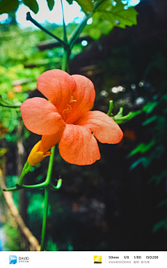 DavidDesignCN采集到Photography