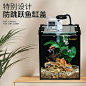 超白玻璃鱼缸家用客厅新款桌面小型斗鱼全套生态造景自循环水草缸-tmall.com天猫