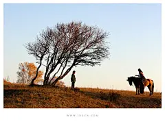 白马秋风塞上_内蒙古_黄河上下_光影天下_数码生存-小林的摄影设计手绘文字