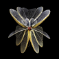 Seb Janiak | 昆虫翅膀，像鲜花一样绽放