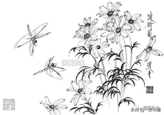 LEDeng采集到工笔花鸟
