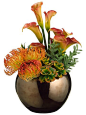 Calla lily arrangement