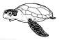 海龟矢量图_360图片