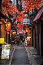 Shinjuku Alley - Tokyo - Japan