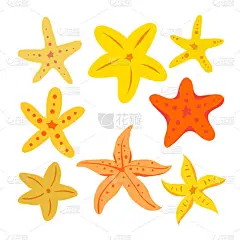 海星矢量采集设计, 海星采集, 海星矢量集