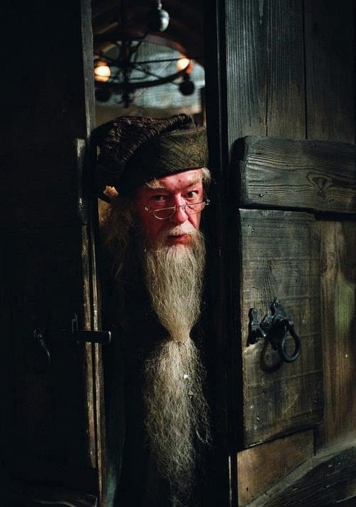 Professor Dumbledore...