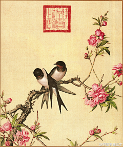 江岸野蕊采集到桃花