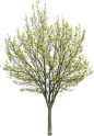12e9a1b53da31011db2baecd5df020f2c2ecf93b1b1ec9-jAKhQ5