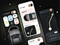 Electric Car : Control Management App by Bogdan Falin for QClay on Dribbble