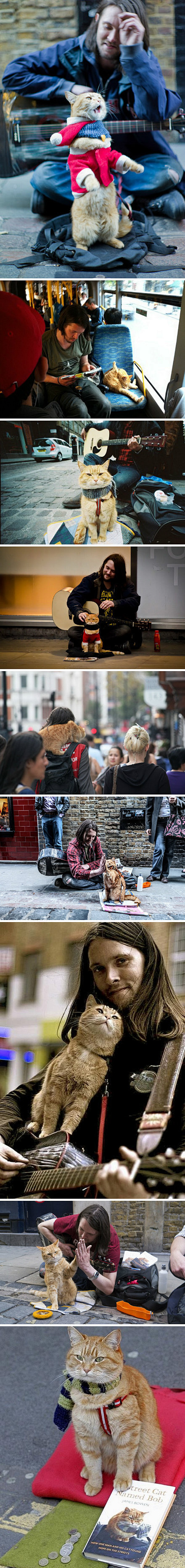 无家可归者詹姆斯遇到了一只流浪猫鲍勃，一...