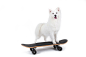 狗