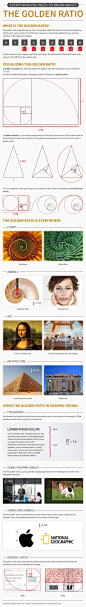 Everything you Need to Know About The Golden Ratio #infographic #GoldenRatio: 