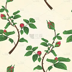 纹路无缝的蔷薇花蕾vintage vector