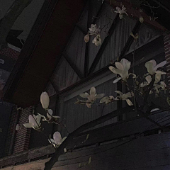 UANnnk采集到『 底 』
