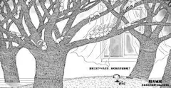几米 漫画 森林的秘密_360图片