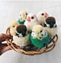 Look At These Amazing Animal Pom-Poms | Top Crochet Pattern Blog