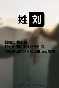 刘2